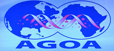 AGOA 2015 : plateforme pour exporter dans divers domaines 