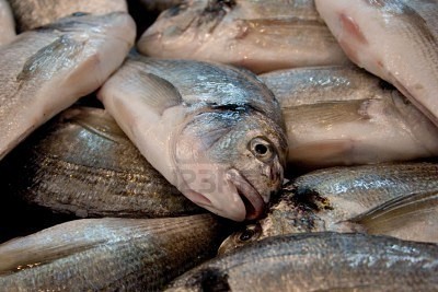 10e réunion du comité technique de la commission régionale des pêches du golfe  de Guinée (COREP)