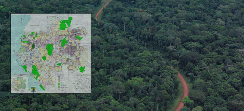 GESTION DE DONNEES DE LA PRODUCTION FORESTIERE AU GABON